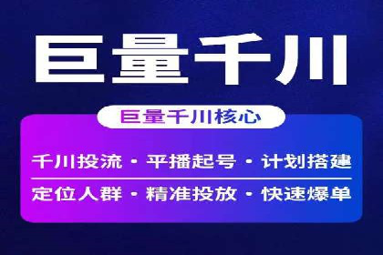 成功SEM托管代运营案例分析
